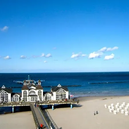 Seesternchen - * 巴贝