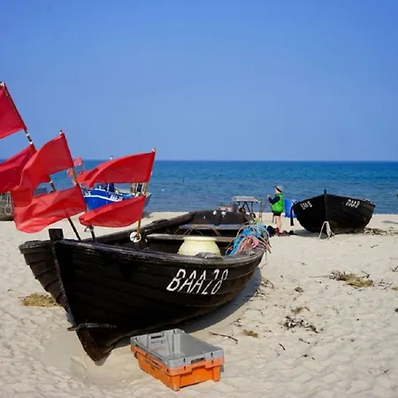 Seesternchen - 巴贝